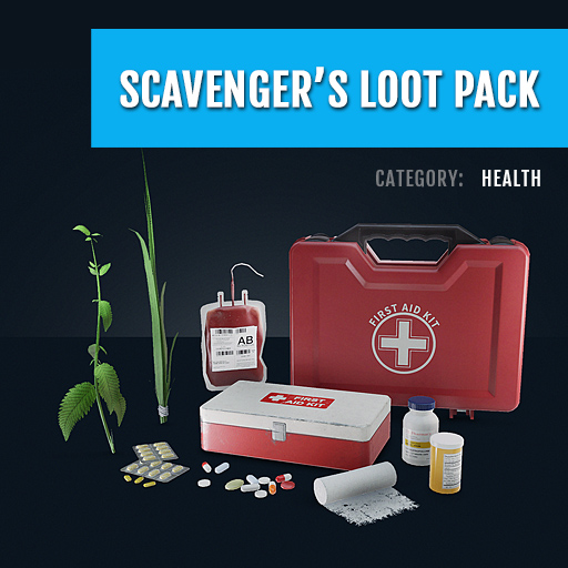 Scavengers Loot Pack